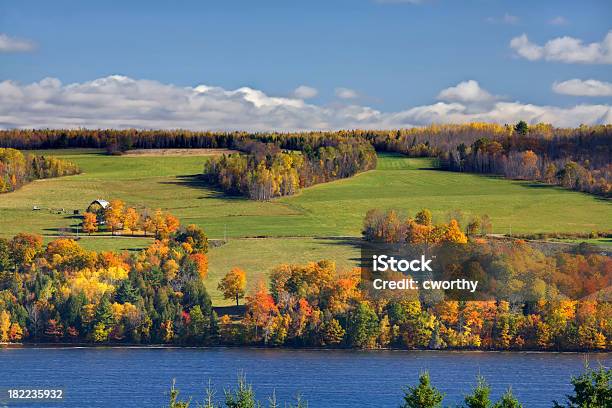 Fall Leaves And Green Fields On The St John River Stock Photo - Download Image Now - Autumn, New Brunswick - Canada, Agricultural Field
