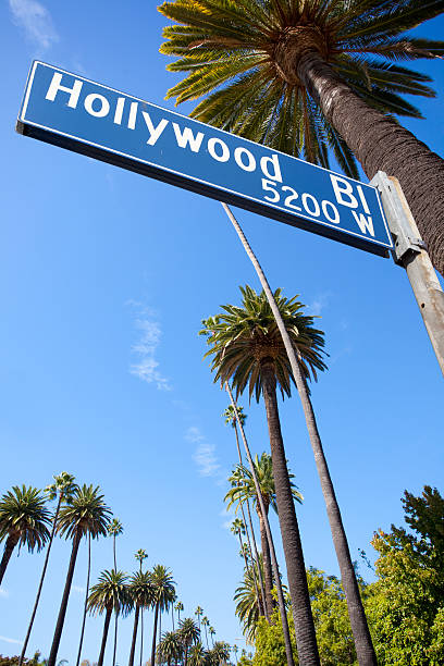 istock Hollywood Los Angeles 182236178