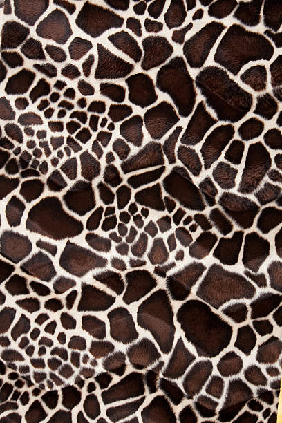Giraffe Animal Print stock photo