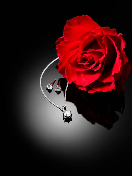 Red rose on a black background with diamond earrings and necklace. Copy space.Click on the link below to see more of my party and jewellery images.