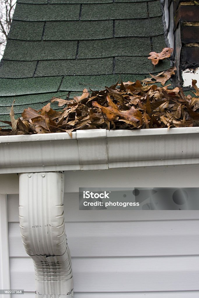 Leaves in Gutter It's that time again. Cold wet day to clean the gutters. Autumn Stock Photo