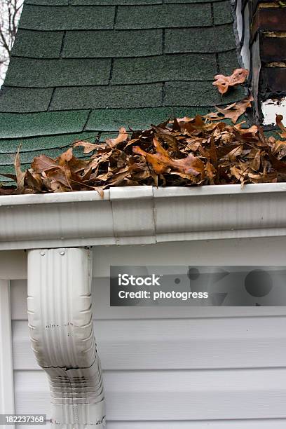 Leaves In Gutter Stock Photo - Download Image Now - Autumn, Domestic Life, Leaf