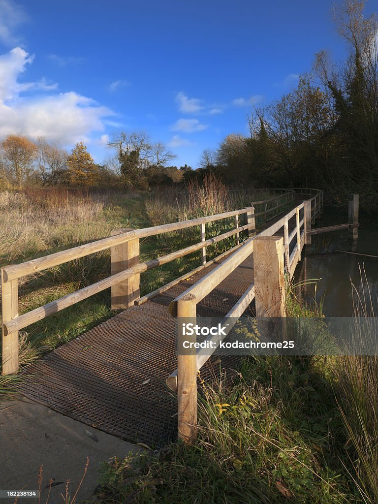 path - Lizenzfrei Einspurige Straße Stock-Foto