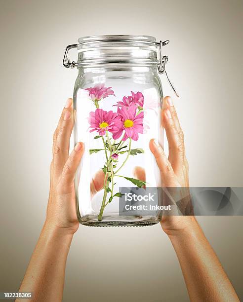 Ecólogo La Conservación De La Naturaleza Flores En Un Pote Foto de stock y más banco de imágenes de Agarrar