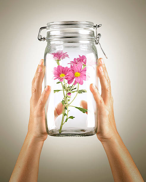 istock Ecologist Preserve Nature - Flowers in a jar 182238305
