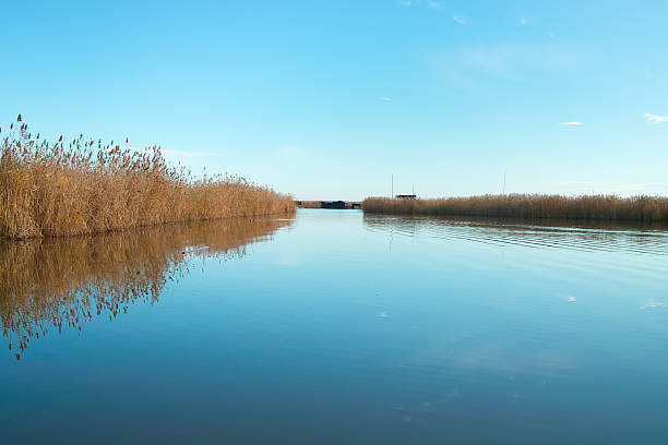 Lake Landscape stock photo