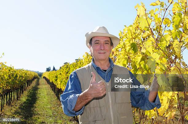 Agricultor E Vinha - Fotografias de stock e mais imagens de Itália - Itália, Adulto, Adulto maduro