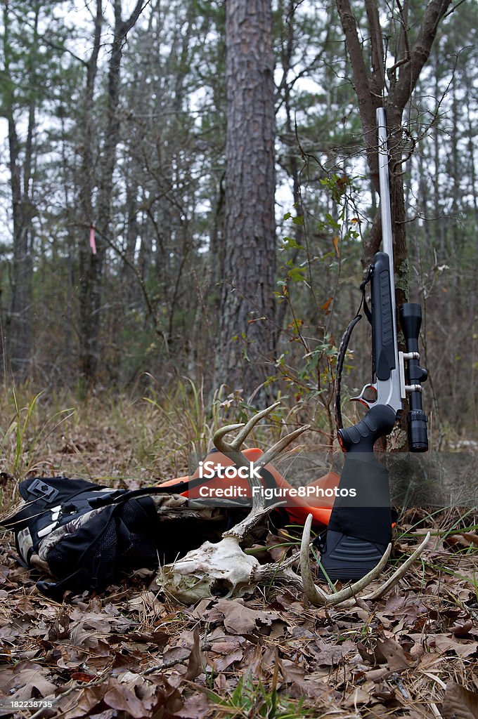 Jagd-Gewehr - Lizenzfrei Aufnahme von unten Stock-Foto