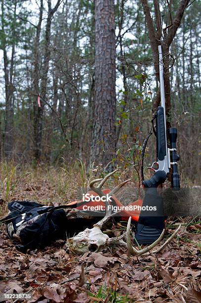 Jagdgewehr Stockfoto und mehr Bilder von Aufnahme von unten - Aufnahme von unten, Baum, Farbbild