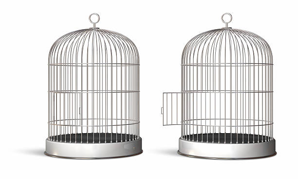 two illustrated oval bird cages, one with the door opened - 籠子 個照片及圖片檔