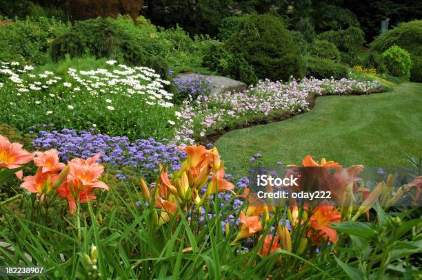 風景と花のガーデン - 庭のストックフォトや画像を多数ご用意 - 庭, ワスレグサ属, 人物なし