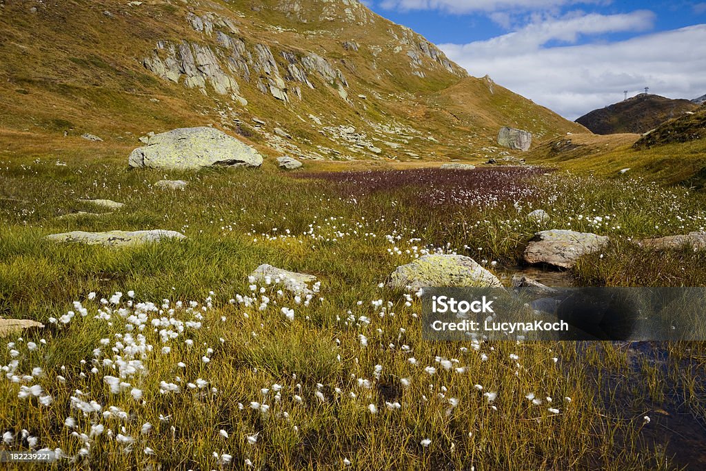 Oberaargebiet - Lizenzfrei Schweiz Stock-Foto