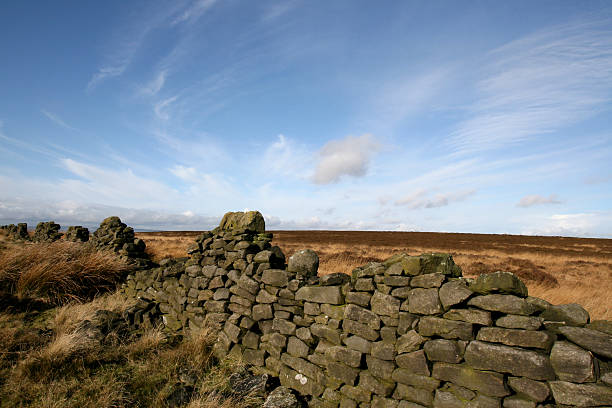 istock Drystone Wall, Peak District National Park 182239302