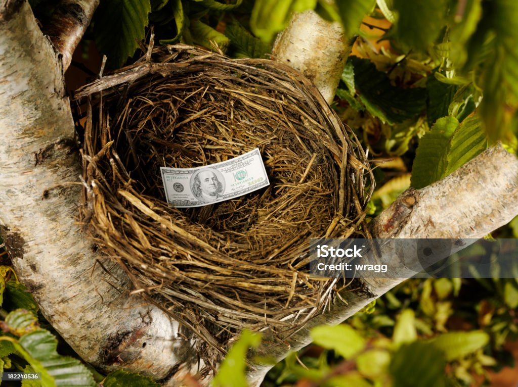 One American Dollar in a Bird's Nest One American dollar in a birds nest in a tree. Click on the link below to see more of my business images. American One Hundred Dollar Bill Stock Photo