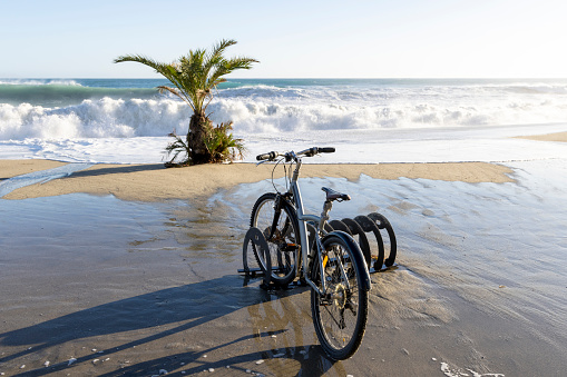 Bicycle parked on flooded beach with palm tree and waves distant