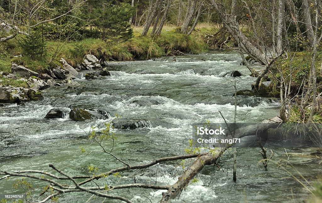 Turquise Stream - Photo de Alpes européennes libre de droits