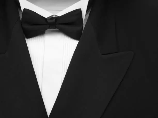 Formal dinner jacket with black bow tie and white shirt. Copy space on the lapel.Click on the link below to see more of my party images.