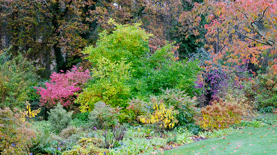 View of beautiful garden with a treelined lake at sunset in fall in Missouri, Midwest; colorful foliage reflects in water