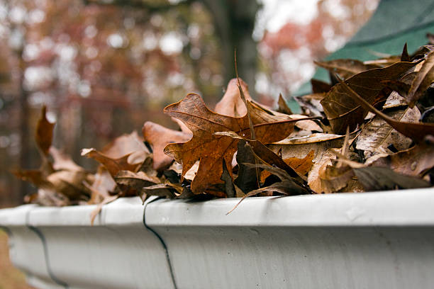 Close-up of dead leaves overflowing a gutter Seasonal cleaning job, getting the leaves out of the gutter. Cold wet day. Shallow Depth of field. Focus in middle. sluice photos stock pictures, royalty-free photos & images
