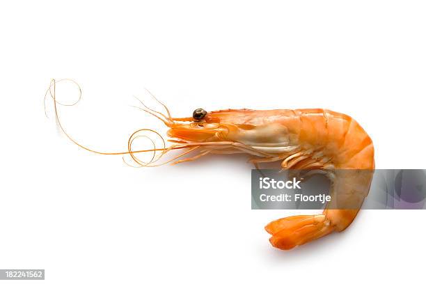 シーフード海老 - 魚介類のストックフォトや画像を多数ご用意 - 魚介類, えび, カットアウト