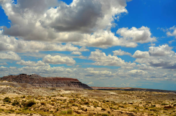istock Rugged and Desolate Landscape Petrified Forest Arizona 1822418394