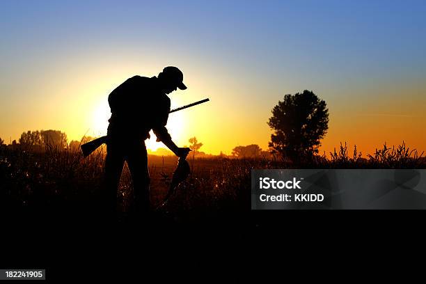 Faisão Hunter - Fotografias de stock e mais imagens de Caça - Caça, Caçador, Silhueta