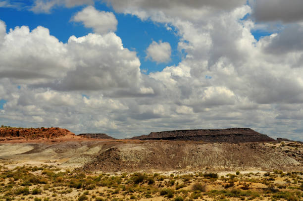 istock Rugged and Desolate Landscape Petrified Forest Arizona 1822420039