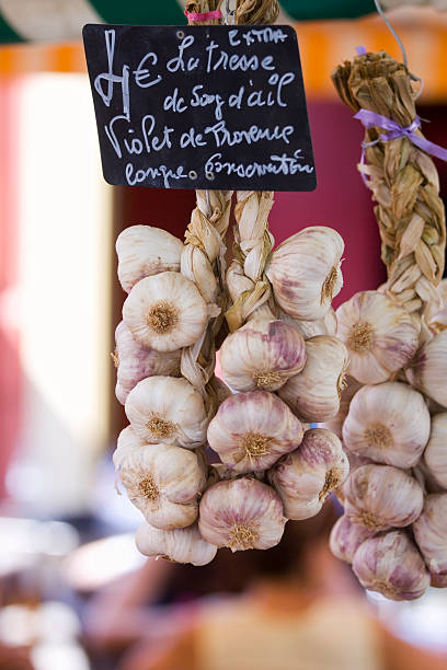 ajo violeta de provence - garlic hanging string vegetable fotografías e imágenes de stock