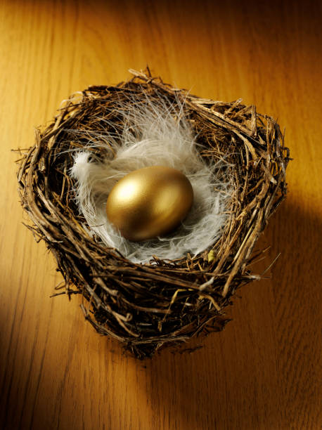 istock Golden Egg in a Bird's Nest 182242199