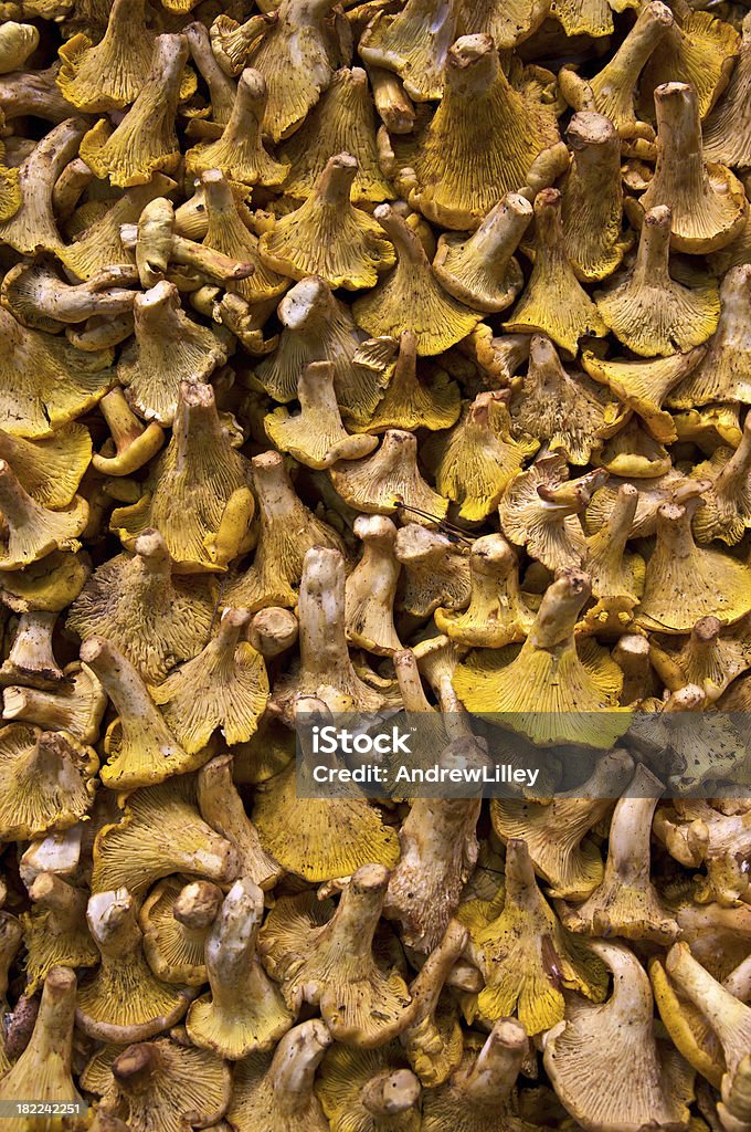 Mushroom background - chantarelle Freshly picked wild mushrooms (chantarelle)Related images: Agriculture Stock Photo