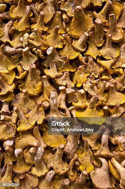 Mushroom Background Chantarelle Stock Photo - Download Image Now - Agriculture, Arrangement, Backgrounds