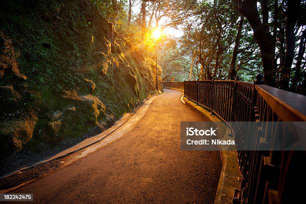 Photo libre de droit de Park Way Dans La Nuit banque d'images et plus d'images libres de droit de Hong-Kong - Hong-Kong, Randonnée pédestre, Arbre