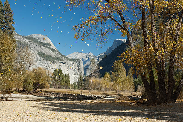 Yosemite Valley and Falling Leaves stock photo