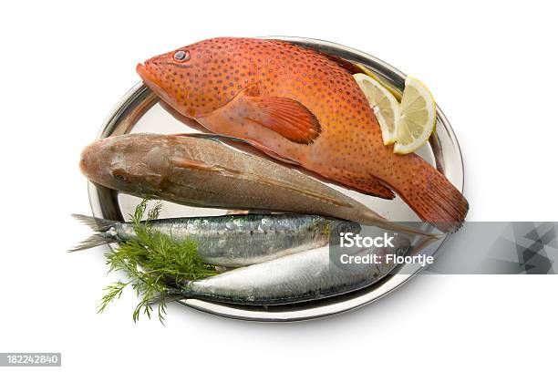 Meeresfrüchte Fisch In Silbergericht Stockfoto und mehr Bilder von Drei Gegenstände - Drei Gegenstände, Drei Tiere, Essgeschirr