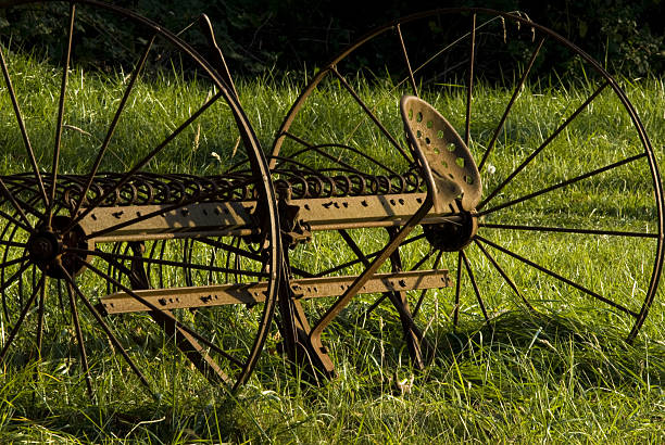 Genossen, alte landwirtschaftliche Geräte – Foto