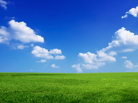 peaceful blue sky and green grass great as background
