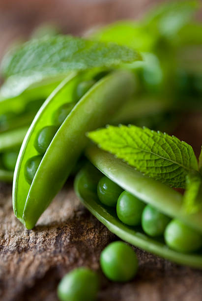 Peas and Mint stock photo