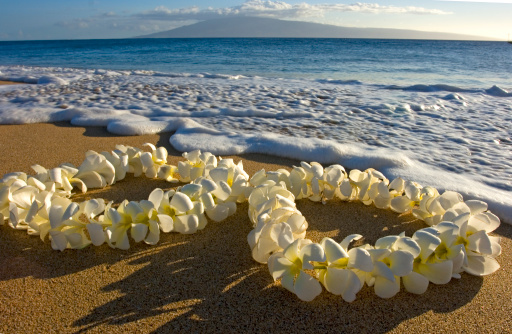 Two Hawaiian leis on the beach.