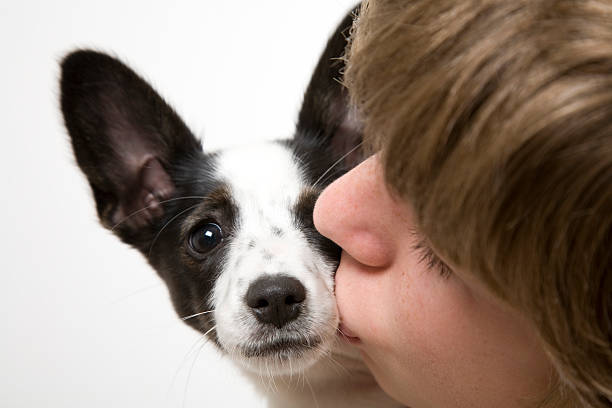 young man showing much love and affection to a blond dog at a foundation in colombia