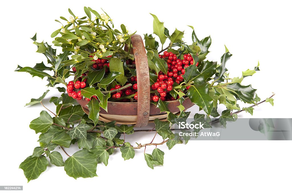 Christmas foliage collection A basket of holly with mistletoe and Ivy Basket Stock Photo