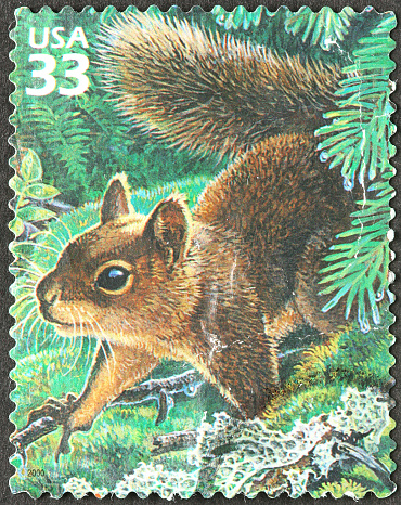 squirrel in a tree postage stamp