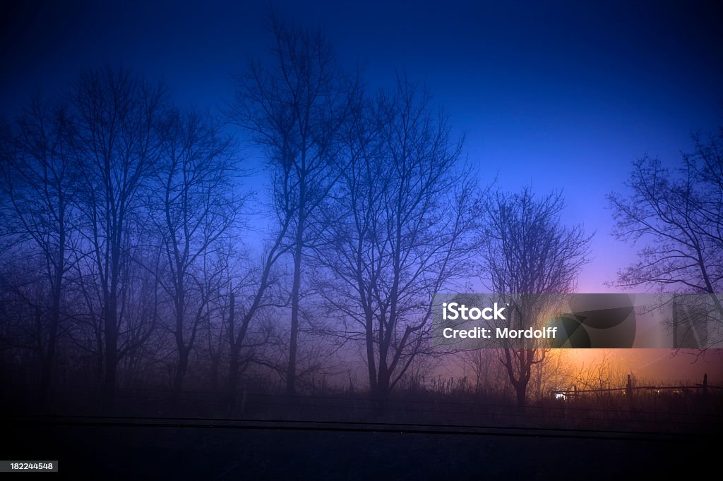 Floresta de outono no nevoeiro noite com luz - Foto de stock de Assustador royalty-free