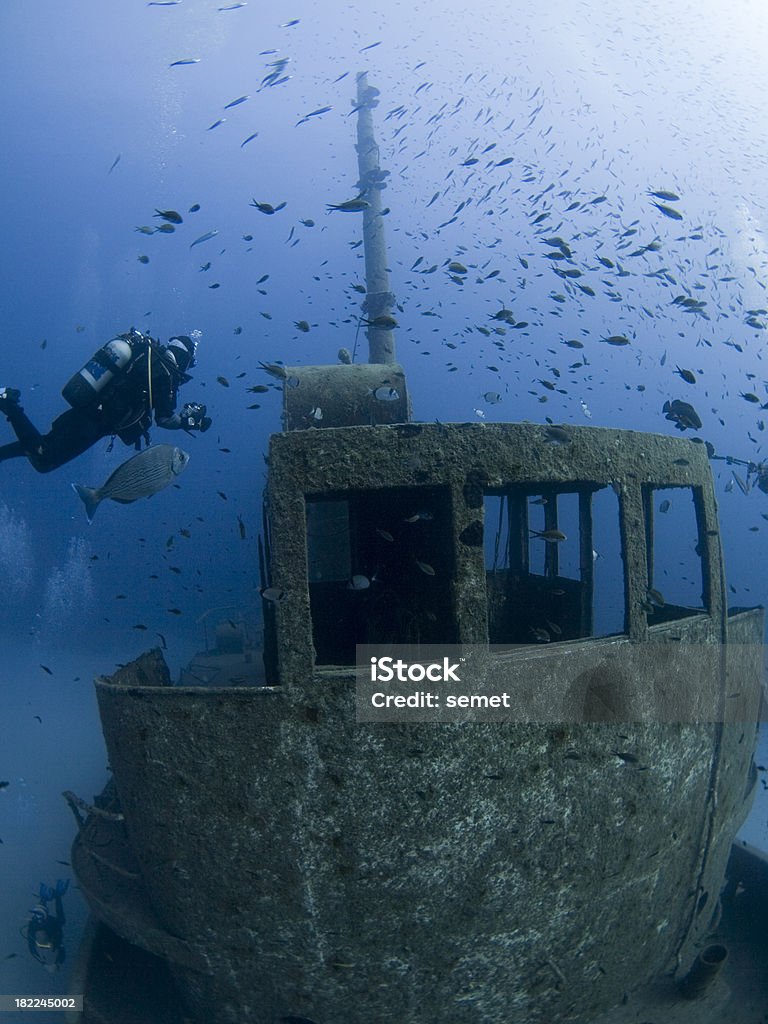 Mergulhador em um naufrágio - Foto de stock de Animal royalty-free