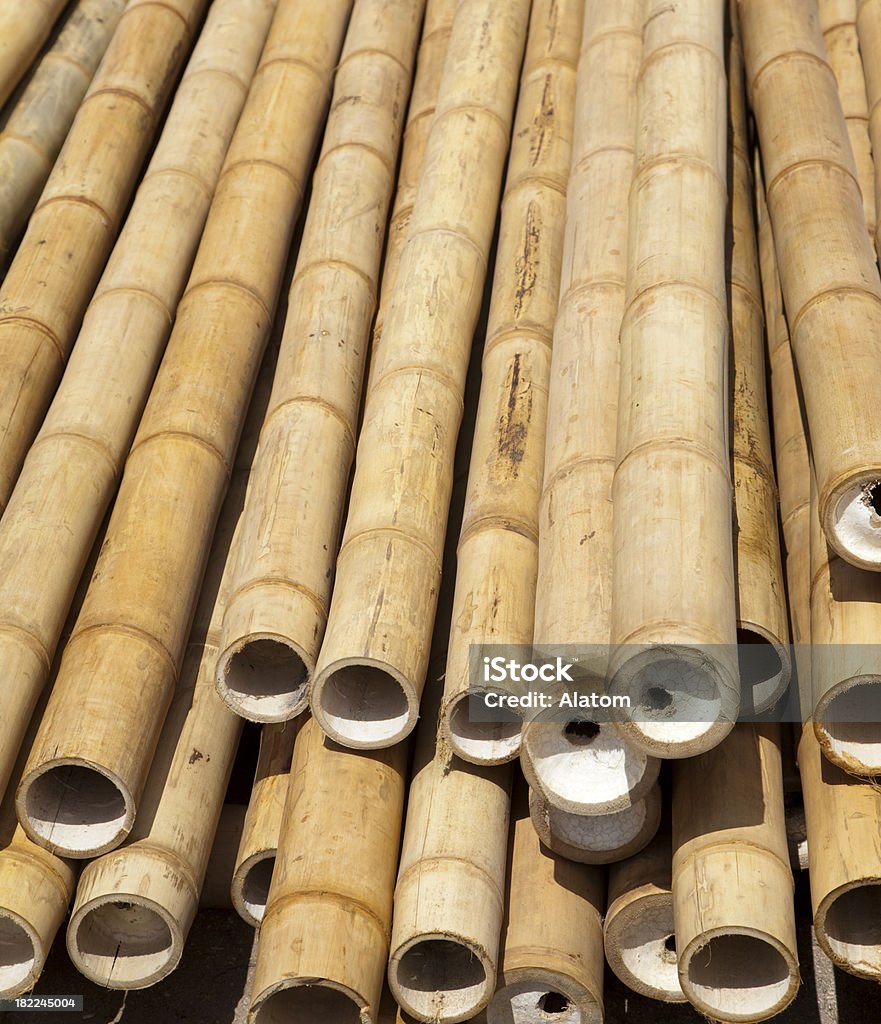 Bambú polos - Foto de stock de Bambú - Familia de la Hierba libre de derechos