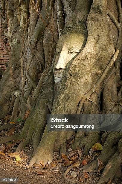 Foto de Buddha Monumentos Da Cabeça E Face Na Árvore Ayuttaya Tailândia e mais fotos de stock de Antigo