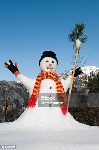 Pupazzo Di Neve - Fotografie stock e altre immagini di Humour - Humour, Pupazzo di neve, Allegro