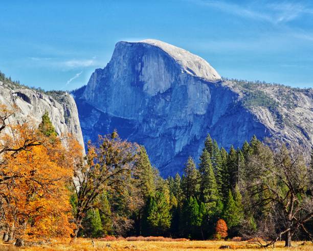 The fall in Yosemite National Park