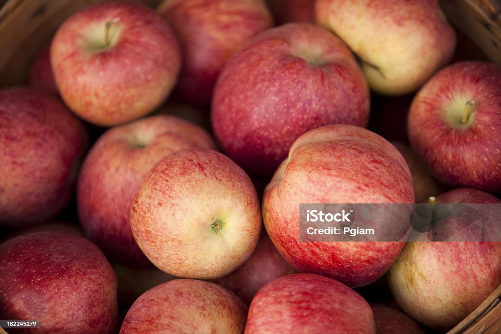 Productos frescos para la venta - Foto de stock de Agricultura libre de derechos