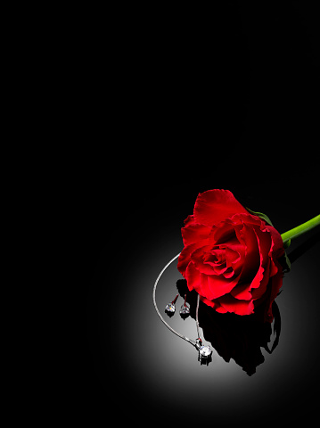 Red rose on a black background with diamond earrings and necklace. Copy space.Click on the link below to see more of my party and jewellery images.