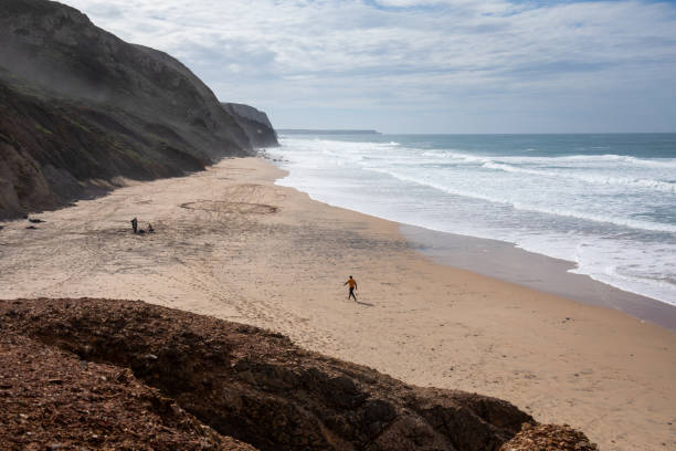 istock Aerial view of surfers on empty beach 1822455085